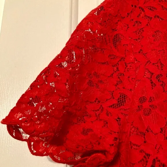 J. Crew Red Lace Holiday Dress - Picture 6 of 9